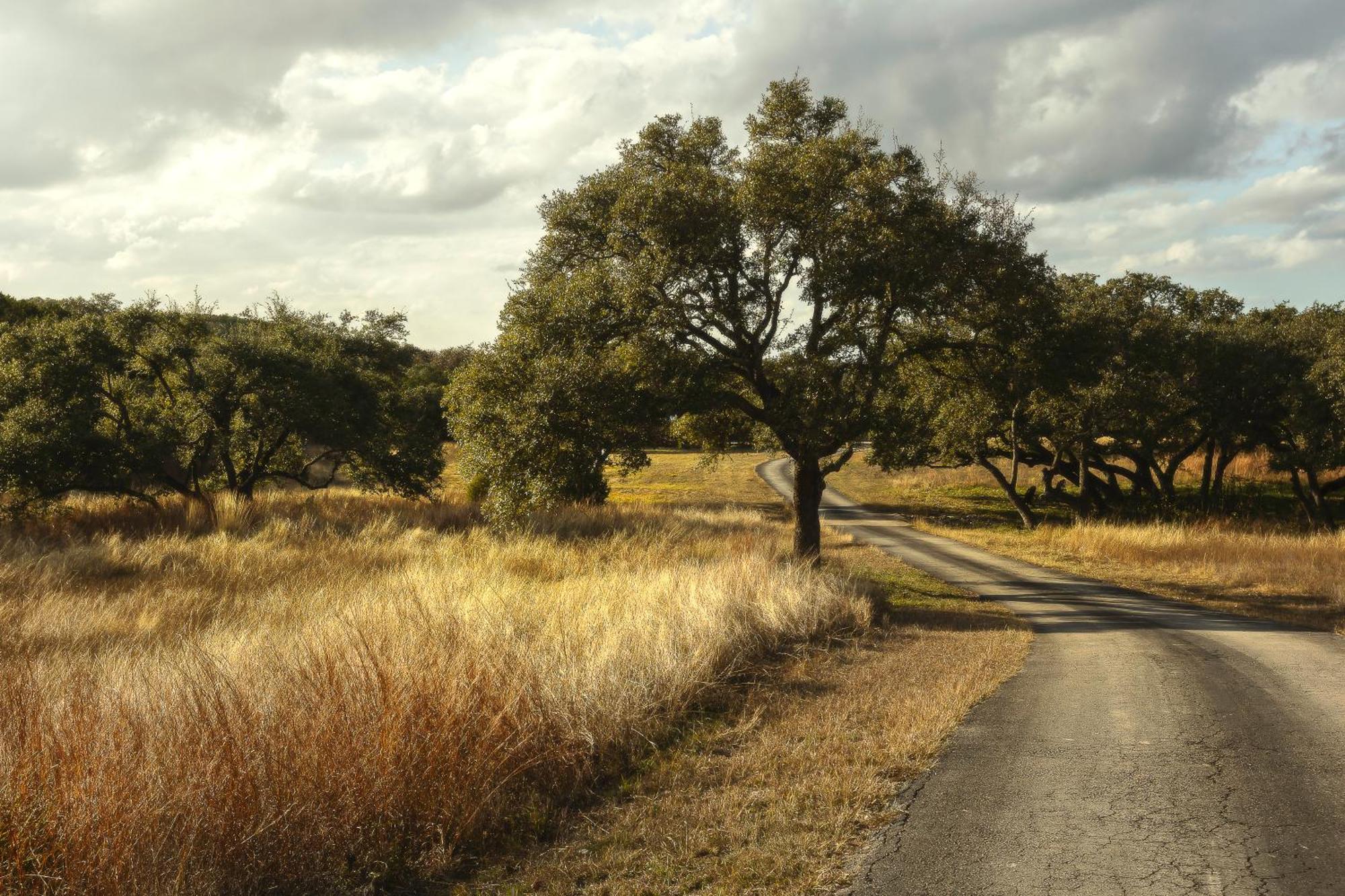 Blair House Inn And Spa Wimberley Luaran gambar