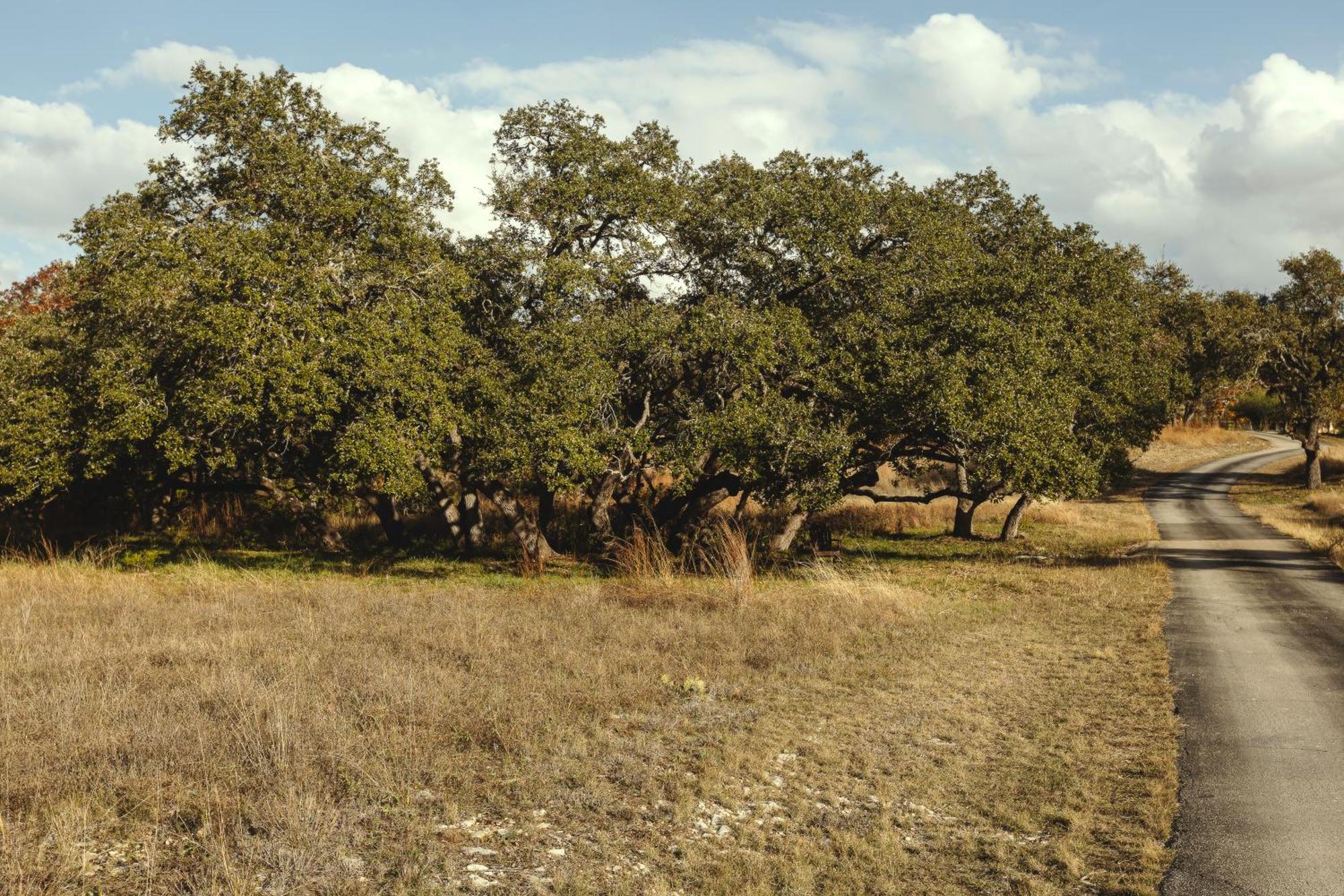Blair House Inn And Spa Wimberley Luaran gambar