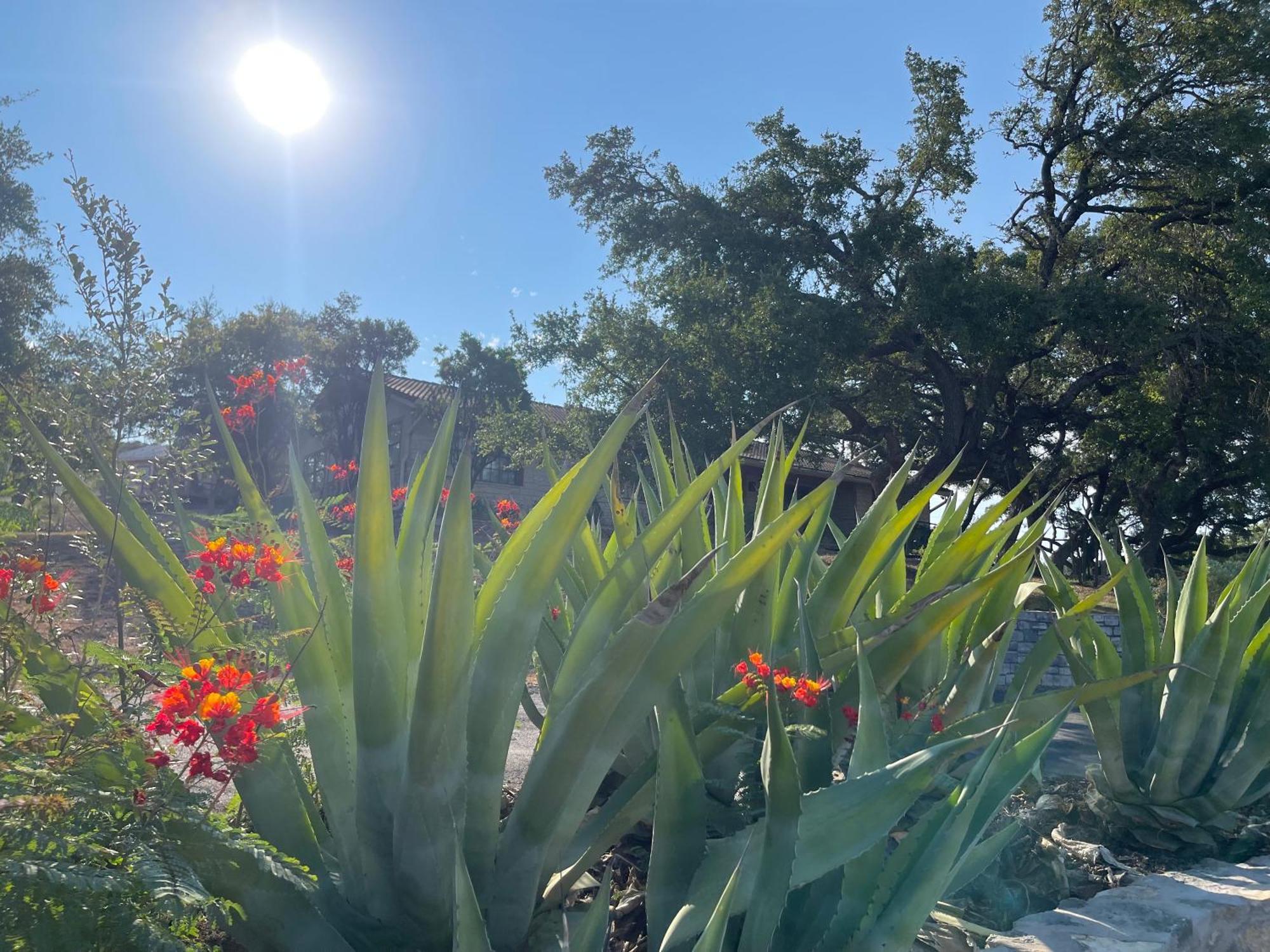 Blair House Inn And Spa Wimberley Luaran gambar